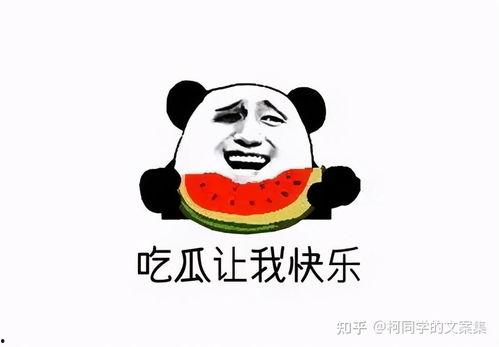 娱乐吃瓜文案搞笑,笑料百出，吃瓜群众笑翻天！