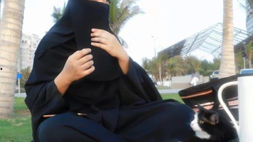 娱乐吃瓜君实习生,揭秘娱乐圈幕后故事