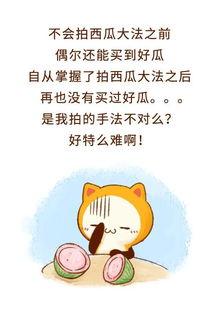 当个吃瓜群众就好,轻松解读娱乐圈风云变幻
