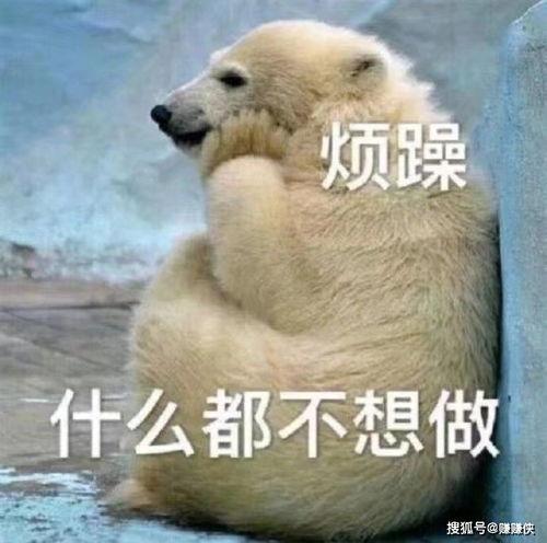 吃瓜群众图片搞笑,搞笑瞬间集锦