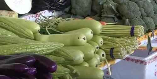 娱乐家吃瓜,揭秘明星们的“吃瓜”日常