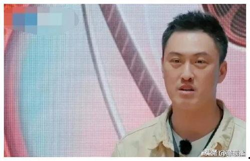 娱乐圈吃瓜爆料记者是谁,揭秘幕后真相，揭秘娱乐圈风云人物